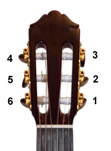 clavijero01